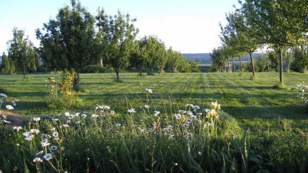 Bed and Breakfast Le Mont d'Auge Canapville  Exterior foto